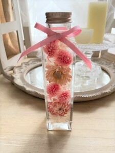 [Valueed product (No.2)] Pinked herbarium