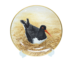 Danberry Mint Miyakodori/Oyster-Catcher Bird Plate Danbury Mint 12waterbird