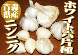 For the reason, 6 pieces of white [Aomori prefecture garlic (garlic) 3kg (3 km)]
