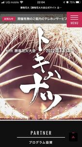 Katsu Main Fireworks Festival 2022 Standard A Individual seats 2 -person electronic ticket