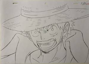 One Piece ONEPIECE Episode 1015 [Straw Luffy Pirate King] Automatic original drawing