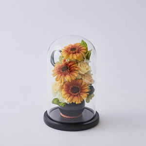 ☆ Garbera ☆ Glass Dome S Preserved Flower Glass Dome S Flowers Arranged Glass Dome Arrangement Glass Glass