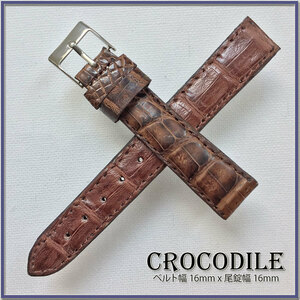 Rare ★ 16m ★ Genuine leather crocodile ★ Crocodile leather ★ Clock belt ★ Brown ★ Ballet pattern ★ Hand Made ★ 2 pieces of spring stick ★ Gold leaf stamp
