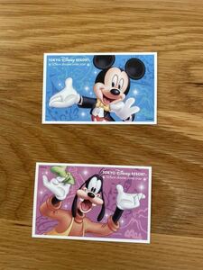 【You can enter at any time】Disneyland Pair Ticket You can enter from 9:00