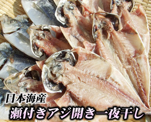 [Prompt decision] The horse mackerel in the Sea of ​​Japan [horse mackerel opening overnight] 1 bag 250g (about 4-5 tails)