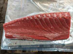 This tuna middle toro 150G1P1660 yen prompt decision "frozen shipping"