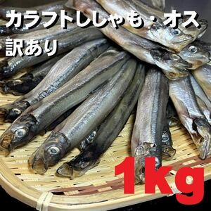 【plenty! ] Kara -Futshasha Ma 1kg For business use, about 30 to 50 bottles frozen