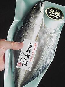 [Sea shelf dried fish immediate buying] Seki's fresh mackerel (bundled)