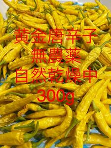 Golden pepper (natural drying)