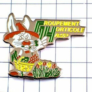 Pin Badge Tulip Garden Work Gardening Harvest ◆ French Limited Pins ◆ Rare vintage pin batch