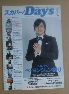 Bae Yong Joon ◆ Not for sale booklet ◆ SKY PerfecTV! Days 2008.1