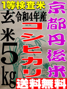 [Free Shipping First Examination Rice] Tango Koshihikari Brown rice 5kg from Kyoto 4th year
