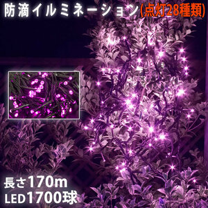 Christmas LED illumination light straight 1700 ball 170m pink flashing 28 type B type controller with controller