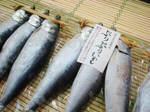 Puri Puriwashi 12 tails (from Setouchi) Hokkaido kelp soup sardine sardine sardine sardine
