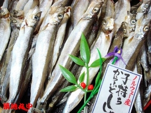 Tsukiji Maru Translated and 1kg of child is also included! Shishamo Komochishishimo