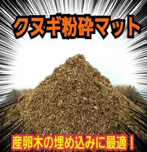 Mix it into beetle mats for fortification! Carefully selected kunugi decay wood crushing mat ☆ Plenty of natural nutrients! Since it is a brightly colored mat, it looks good even if you keep an adult