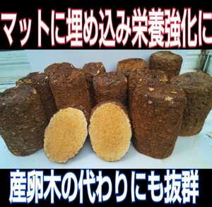 Shiitake mushroom scrapped floor 2 blocks ☆ Bait of stag beetle larvae, instead of spawning trees! If you embed it in a 100 % fermentation mat, the nutrition will be enhanced and Kabuto larva is increased