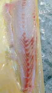 (Fish) Flounder Fully Body 1900 yen Prompt decision