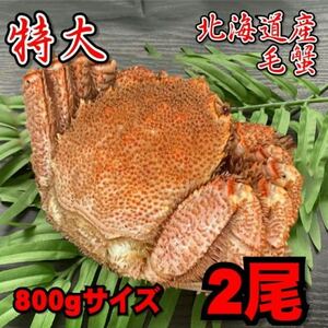 [Translated] Two special hairs (about 800g size) Hokkaido hard crab crab crab crab whale kagani crab kagani mother's day of Father's Day