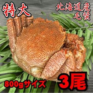 [Translated] 3 tails (about 800g size) special hair (about 800g size) Hokkaido hard crab crab crab crab crab kagani crab Boyl mother day of the day of year -end gifts