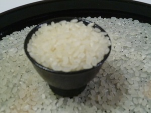 Phantom U.S. Hatsushimo (from Gifu Prefecture) 4 years, brown rice, 5kg, free shipping