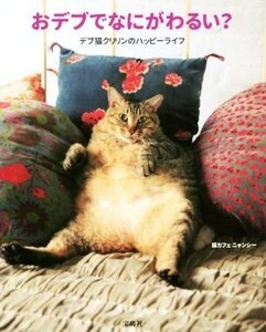 What's going on with fat? Fat Cat Krillin's Happy Life / Cat Cafe Nyancy (author)