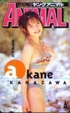 Telephone Card Idol Teleka Akane Kanazawa Young Animal RK003-0002