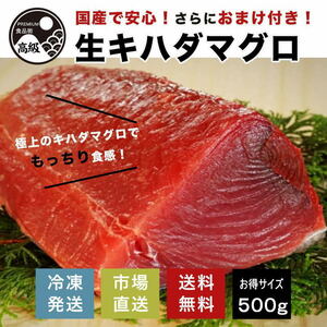 Kihada Guro raw tuna tuna tuna iron blossom bowl donated sashimi Domestic lean refrigerated free shipping/ superb!