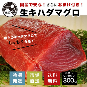 Kihada Guro Raw Tekkon bowl Domestic lean refrigerated Free Shipping/ Superb! Domestic Production Kihadaguro (Raw) 300g+Extra (cut off)