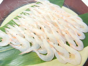 Toyama Bay Gem White Reva 1P500 Taste is thick and sweet potato shrimp with thickness and sweetness.