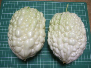 ● White goy fruit gourd 10 tablets