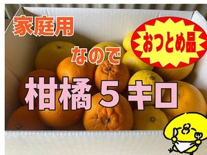 "Otsutsu-product-Ehime-5 km citrus"