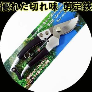 Free Shipping Mail Swan Pruned Scissors Interpreting Scissors Scissors Carbon Purons Cheer Cushion Stopper Excellent Carbon Steel Scratched WJ-036/0690X1 bottles