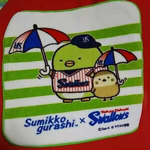 [100] Sumikagurashi ★ Yakult Swallows ★ Mini Towel