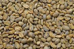 [1㎏] Coffee Beans Hawaiikona Fancy Premium Coffee Free Shipping