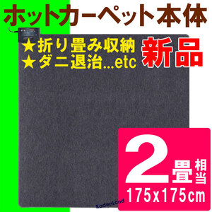 New hot carpet body 2 tatami mats equivalent folding storage mites countermeasures