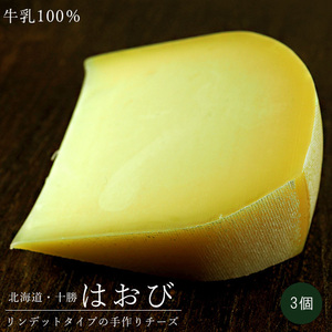 Haobi 100g × 3 (Millennial Kisara Farm of Shimizu -cho, Hokkaido) Natural cheese semi -hardlind type * Free shipping