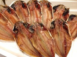 F [Free Shipping] Shizuoka Prefecture Numazu Specialty Mackerel Dried 7 Tail + Tsushima Ajimono 3 Tail