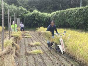 ☆ Ordinth 4th year New Tenni Dry [Natural Dry] Miyagi Sasanishiki Brown Rice 5 km ☆