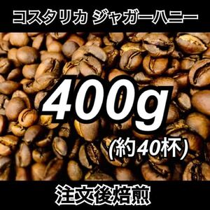 Costa Rica Jaguar Honey 400g Home Roasting Specialty Coffee Bean Coffee Beans