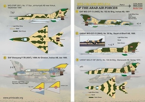 Print scale 48-091 1/48 Arab Air Force MIG-19S/MIG-21S Part.2