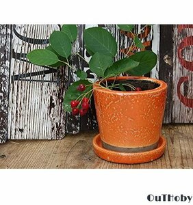 Orange mini planter There is hole ◎ Succulent plant bonsai houseplant flower ◎ Stylish flower pot mini pot potted potted gardening interior cute