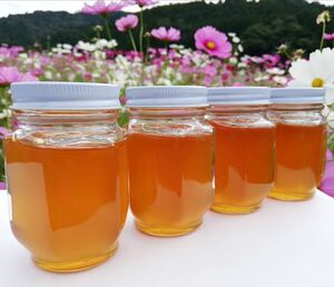 Japan Honey Bee 2 Year Old Honey (150g x 4) Unheated Additive-free Domestic honey