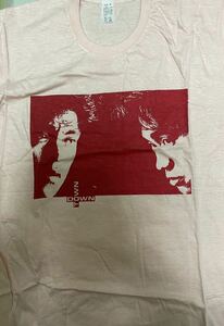 [Downtown T -shirt] Hitoshi Matsumoto, Masako Hamada, downtown pink T -shirt. F size.
