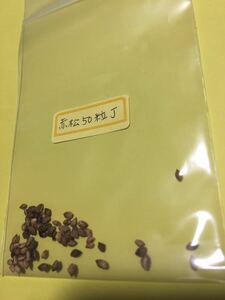 Free Shipping Akamatsu species 50 grains J