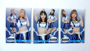 Bluelegends Parallel Card 3 types MISAKI AOI UMI / BBM 2021 Cheerleader Card DANCING HEROINE Hana Mai / Shipping 250 yen ~