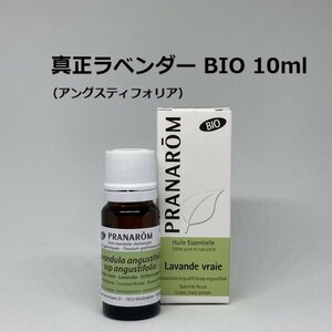 [Prompt decision] Lavender Angus Stifolia (genuine lavender) BIO 10ml Pranarom PRANAROM Aroma essential oil (W)