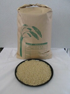 HIG124 Ordinance 4 years Gifu Prefecture Rice Brown rice Hitomebore 10kg Shipping included value