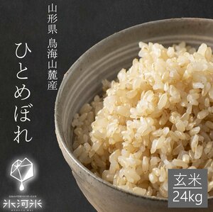 Yamagata Prefecture Shonai -produced glacier "Hitomebore" Brown rice 24kg Ordinance 4th year production area directly shipped special cultivated rice Free shipping rice rice