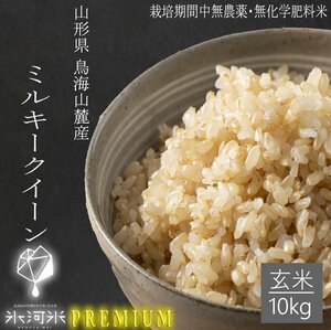 [No pesticides and chemical fertilizers during the cultivation period] Milky Queen Brown rice 10kg Glacier Premium Shonai Shonai Production Direct Direct Delivery Ordinance 4 Years